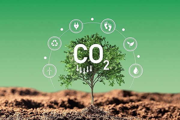 � ����������������� �������� ���������� ����� � ������� ����������� �������� ���������� �����