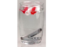 ���� ������������ �� ������� � ������������ ������������� ������� ��� ������������