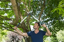 ������� ������� � ����: ������� � �����������